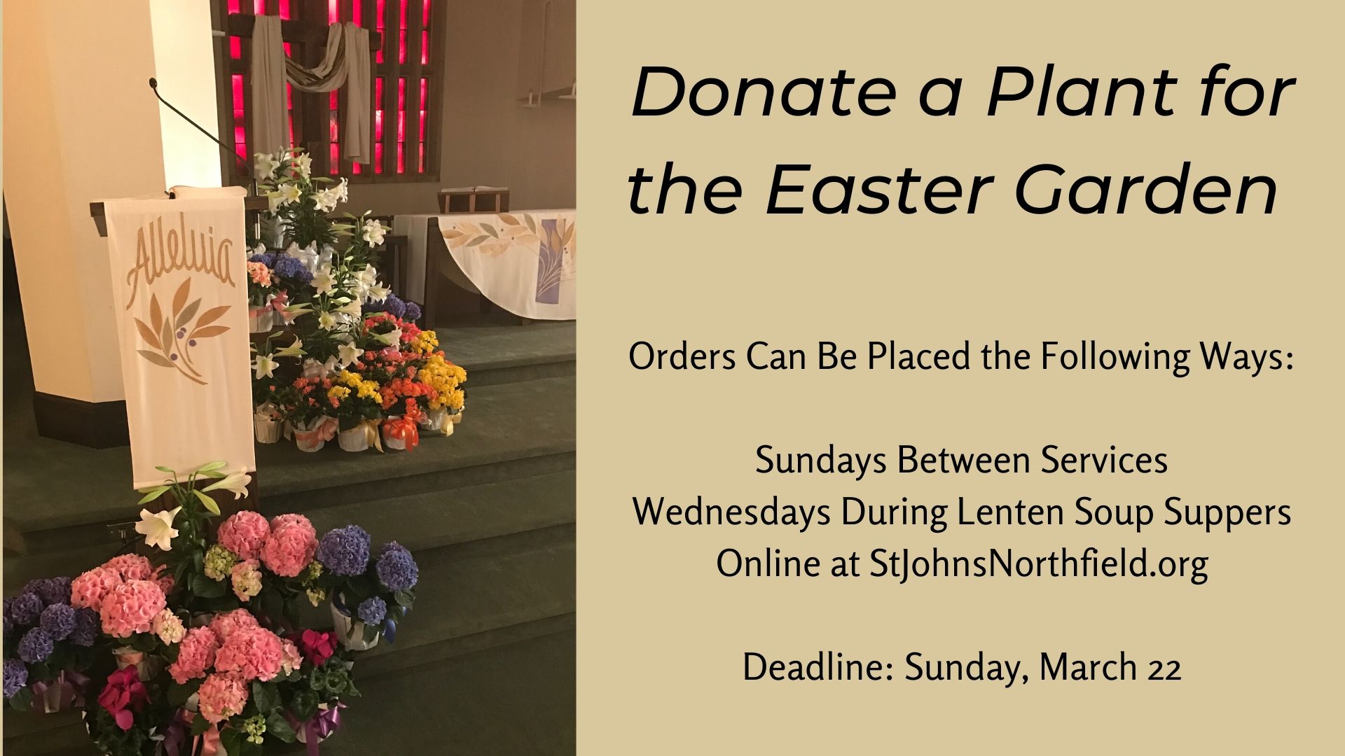 Donate a Plant for the Easter Garden St. John’s Lutheran Church